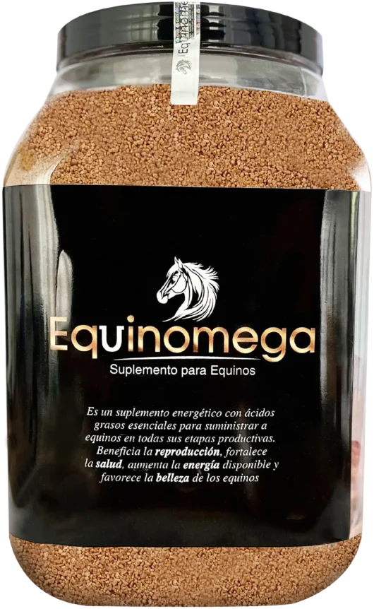 Equinomega - Imagen 2
