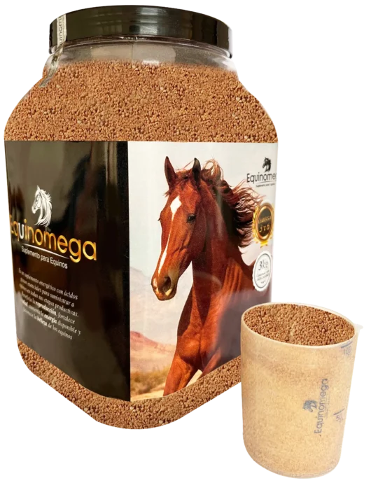 Equinomega - Imagen 5
